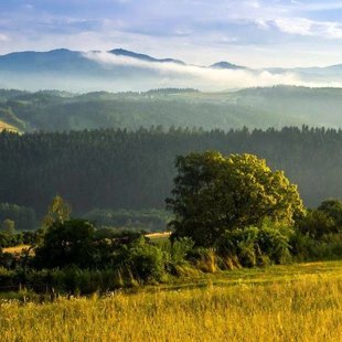 Beskid Sądecki