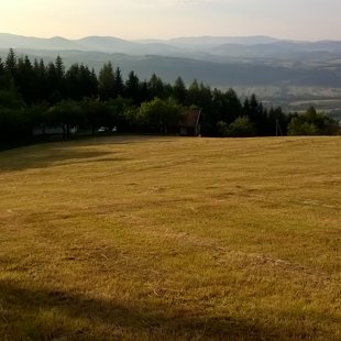 Lato 2016
