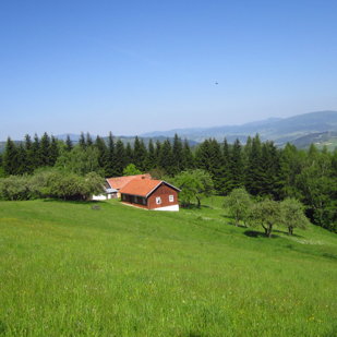 Dom i okolice